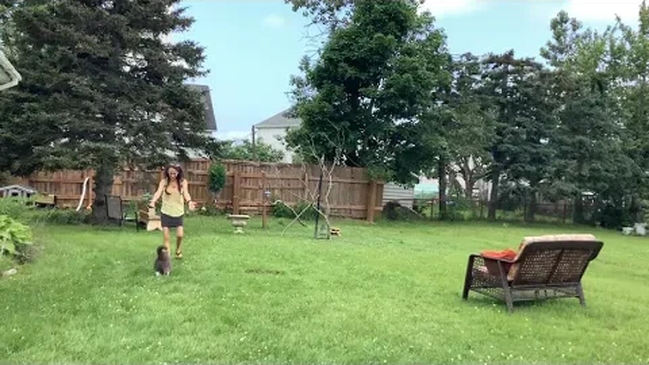 Fat Cat getting picked up by a skinny girl