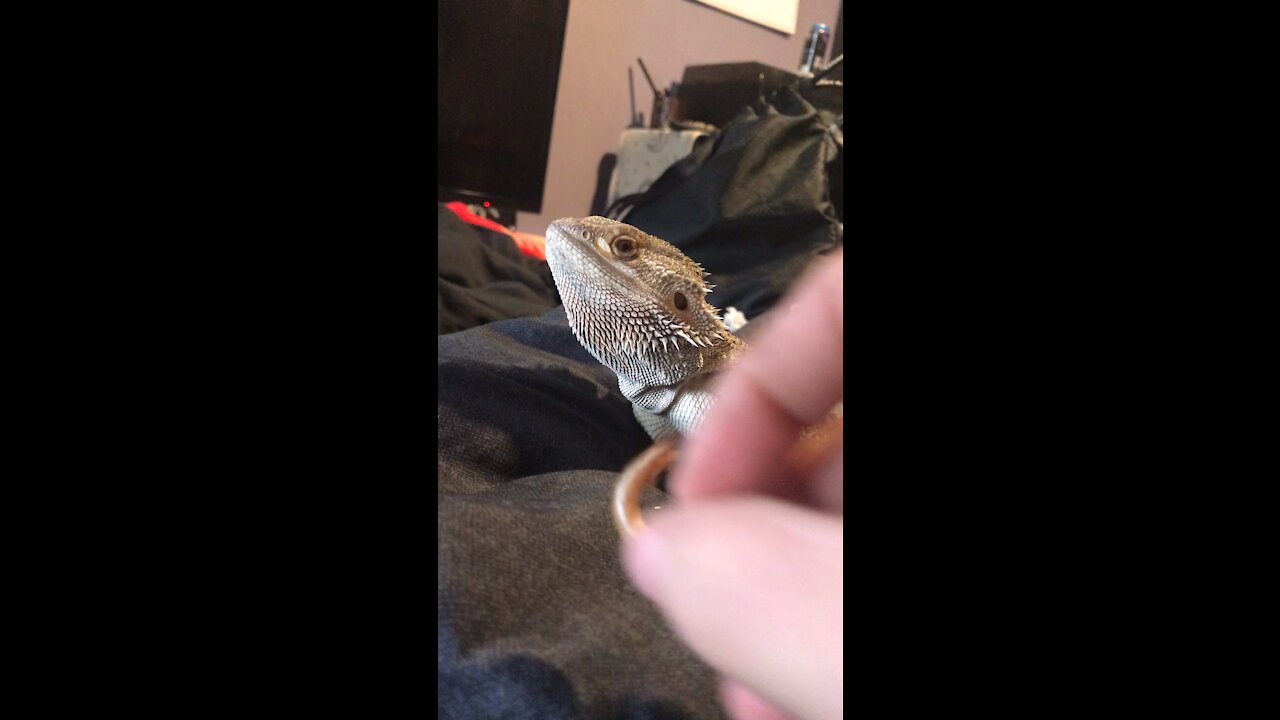ASMR chewing