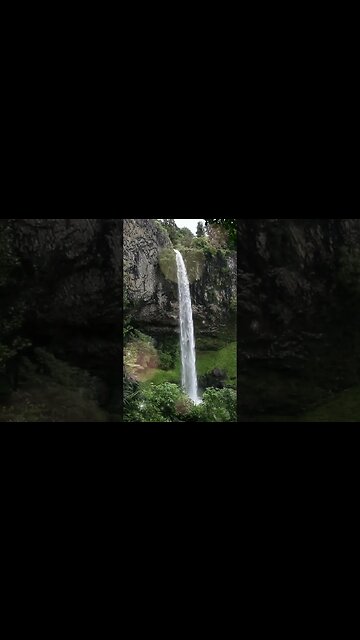 1 Minute Meditation I'M GRATEFUL FOR MY SERENITY #shorts #youtubeshorts #1minutemeditation