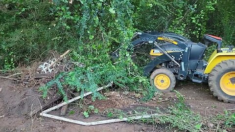 Huge progress taking my land back and getting ready for Goats.