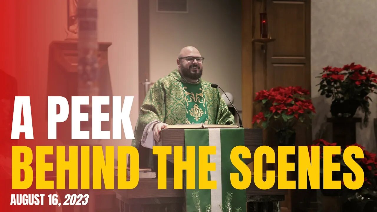 What We Can Learn From How Kids Act - Fr. Patrick Schultz