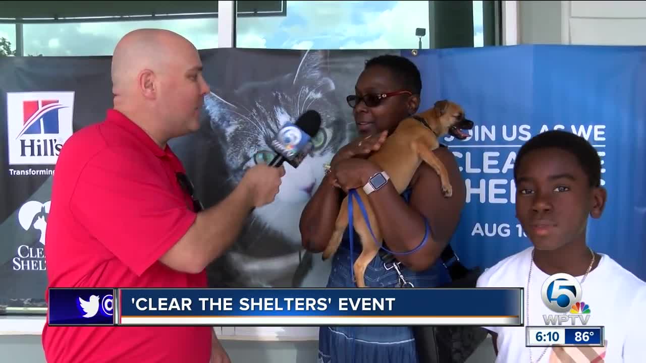 "Clear the Shelters" animal adoption event held on Saturday