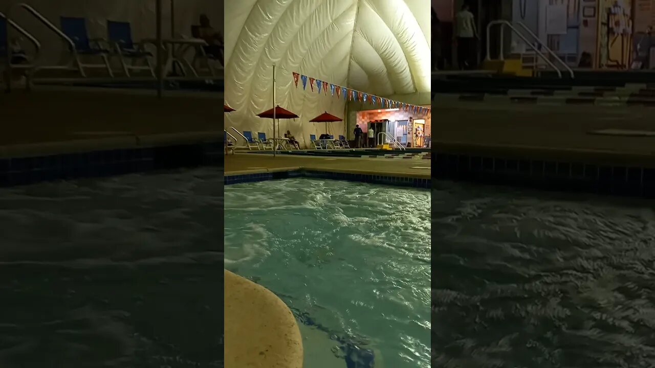 regency Mclean swimming today