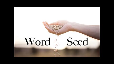 Word Seed