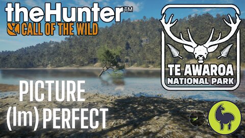 The Hunter: Call of the Wild, Picture (Im)Perfect, Te Awaroa- PS5 4K