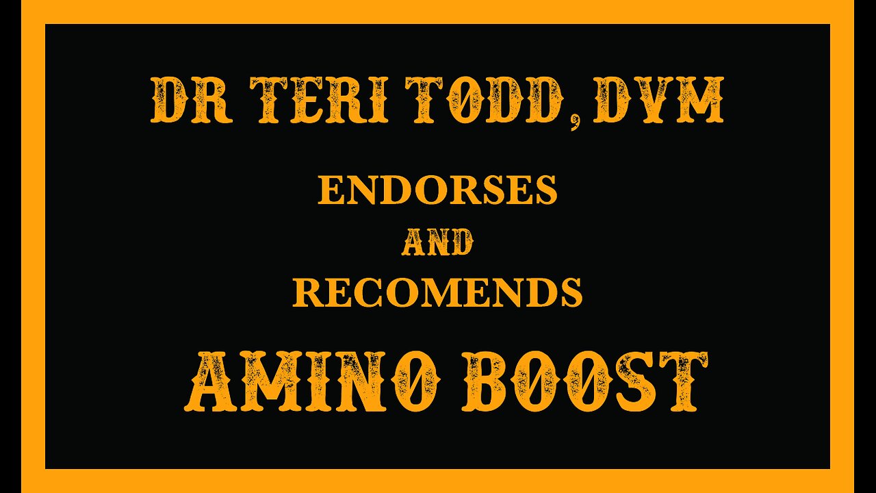 Dr Teri Todd, DVM Endorses Amino Boost