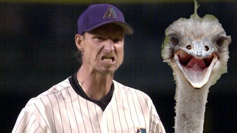 Baseball Hall of Famer Randy Johnson KILLS a bird live on television!!!