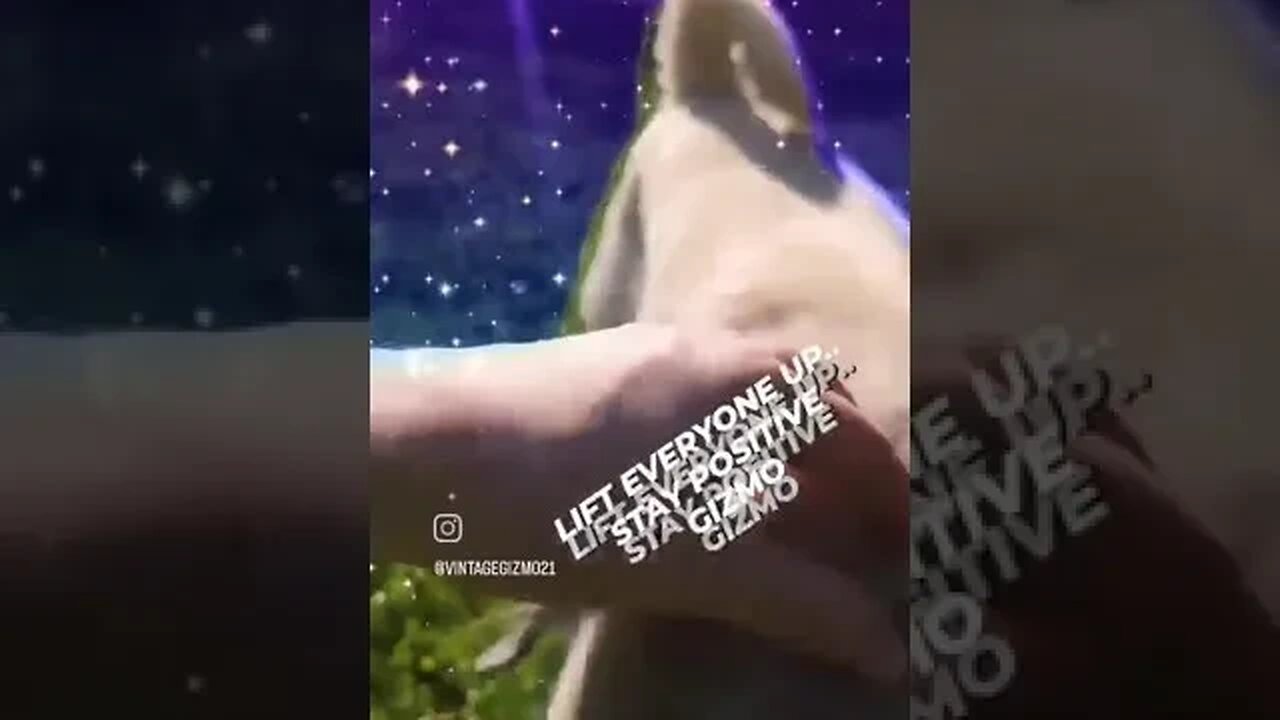 LIFT YOU UP