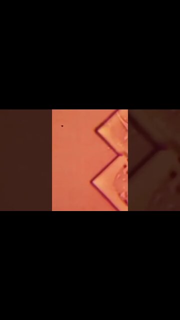 Bio 🤪🤔 Vaccine