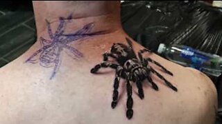 Impressionante: Tatuagem de tarântula extremamente realista