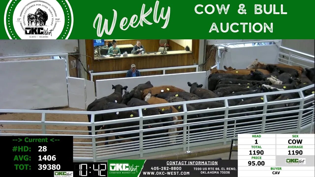 3/13/2023 - OKC West Weekly Cow & Bull Auction