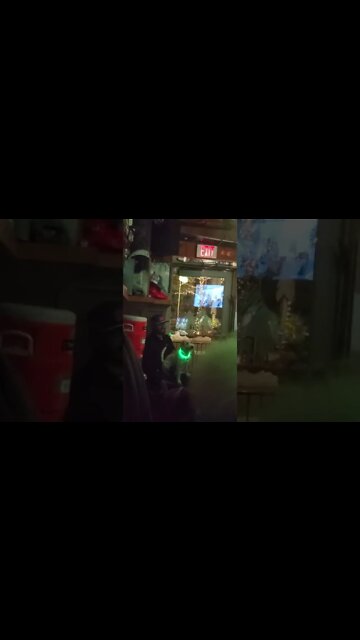 Ares Jack Russell dog enjoys the slot bar at squaw valley USA now Palisades Tahoe