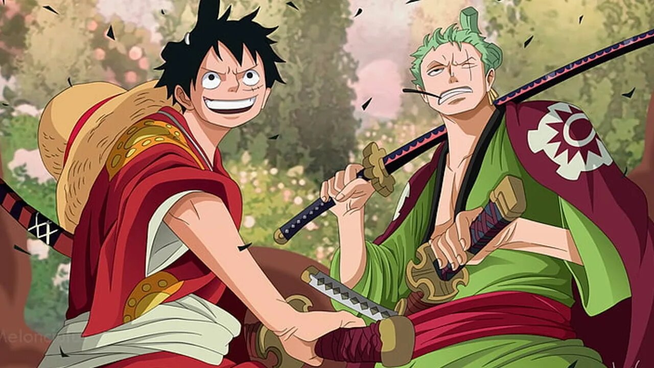 ZORO VS LUFFY