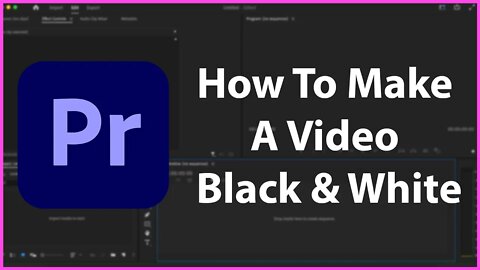 How To Make Your Video Black & White In Premiere Pro