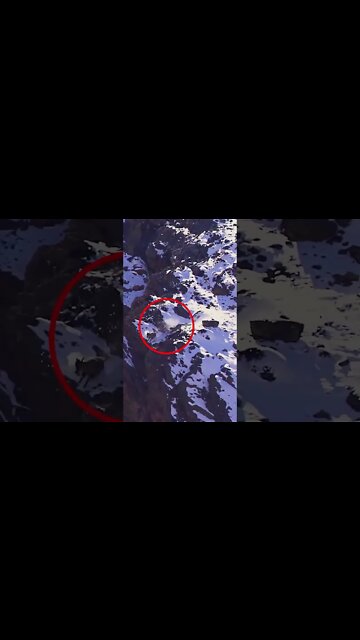 CRAZY ANIMAL CHASE OFF CLIFF