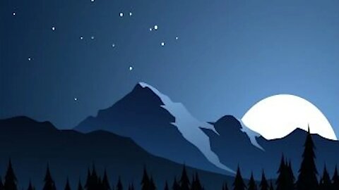 Biodiversity Exploring Life in the Forest