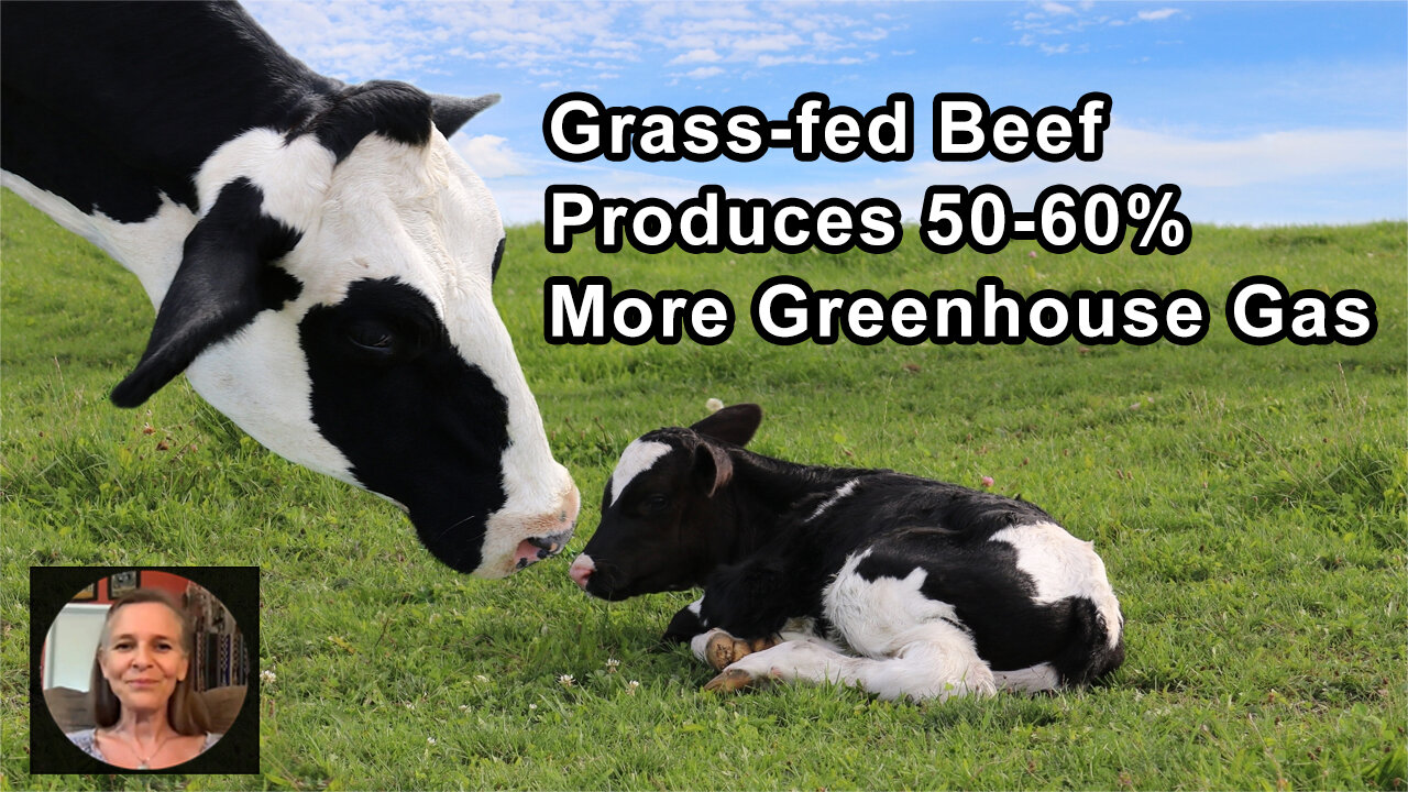 Grass-fed Beef Can Produce 50-60 Percent More Greenhouse Gas Emissions Than Commercial Beef