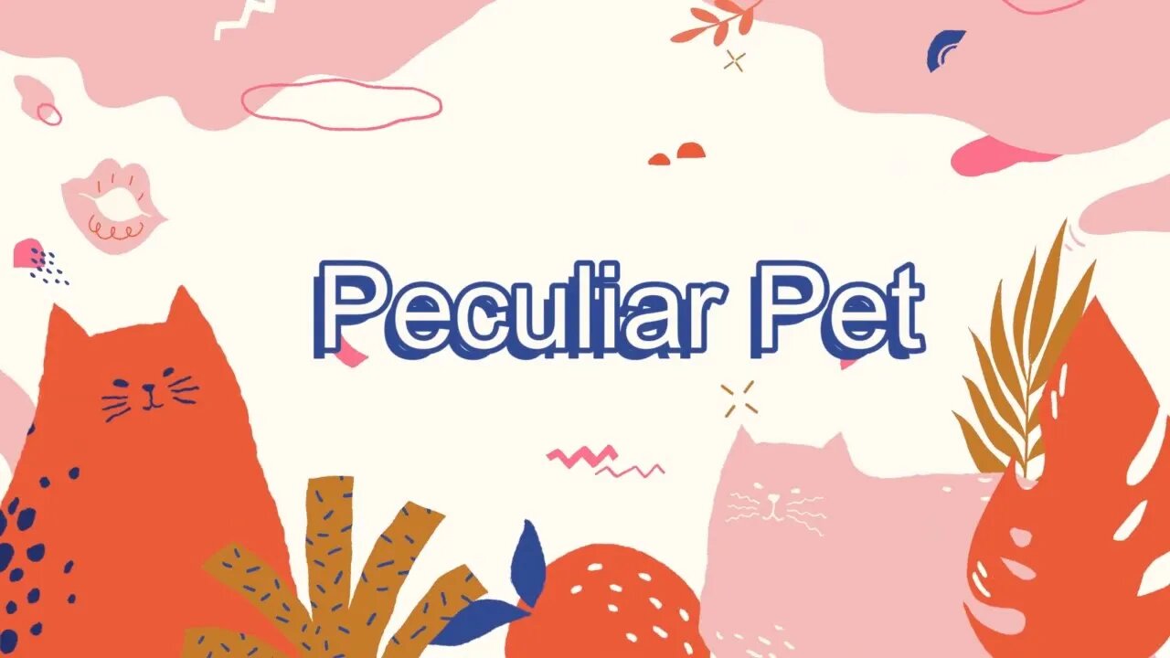 😻Peculiar Pet For Cats March 2022 😻