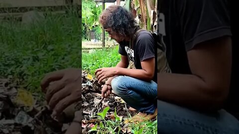 kliwon nyari cacing di sampah