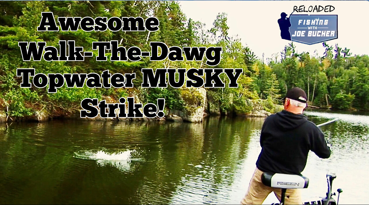 Awesome Walk-da-Dawg Topwater Musky Strike!