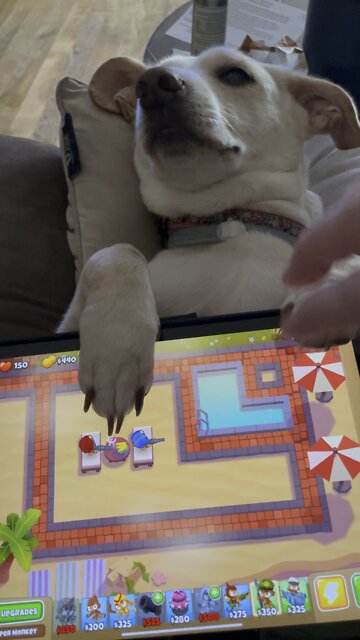 Cutest iPad holder ever