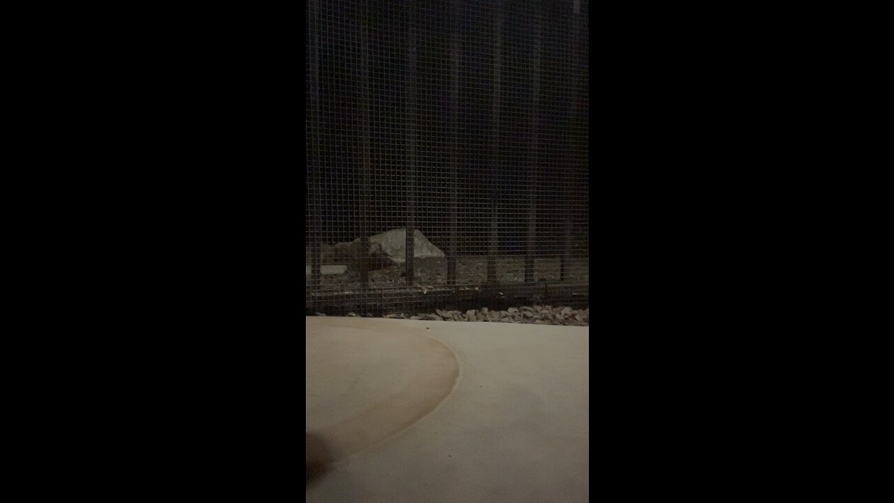 Shattering Light Bulb in slow motion