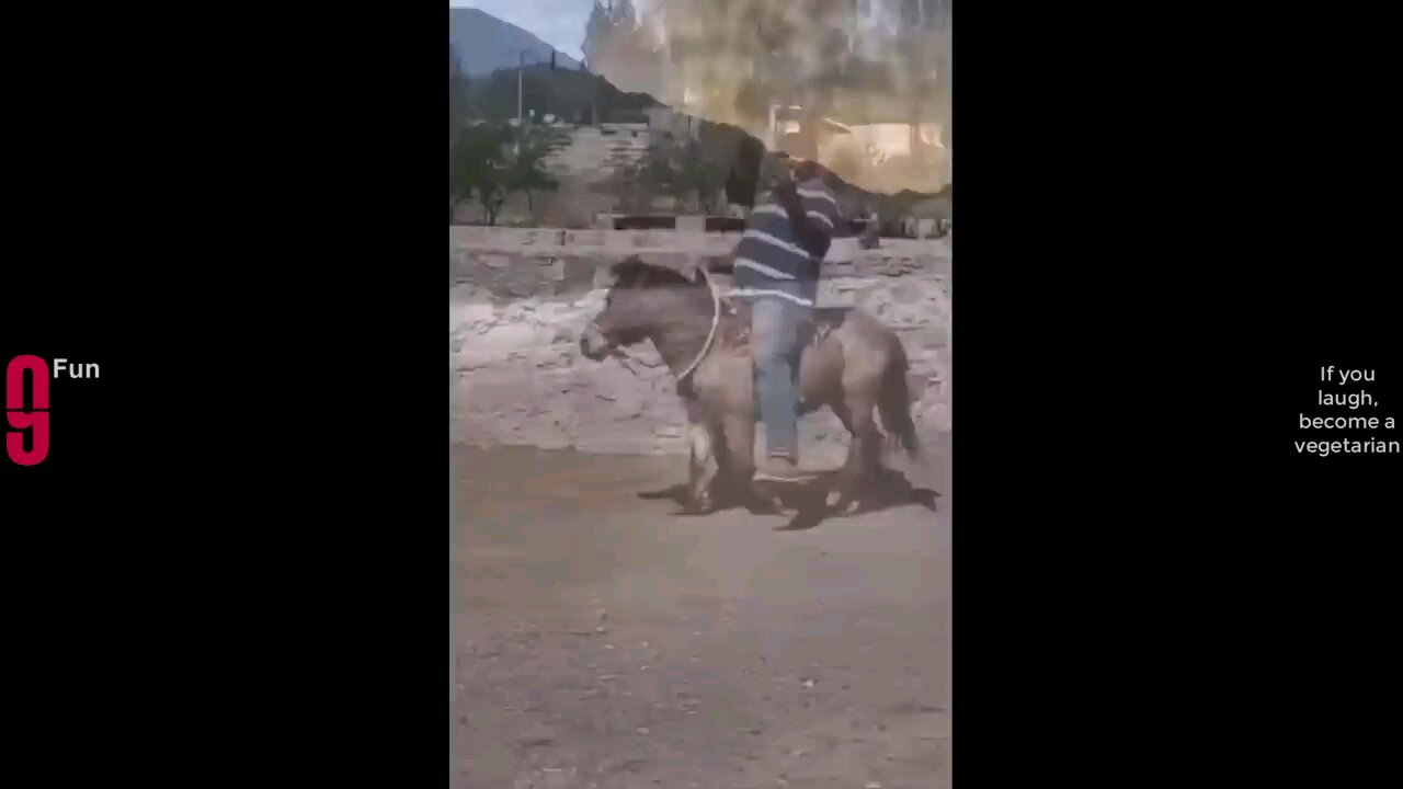 funny funny don't laughing