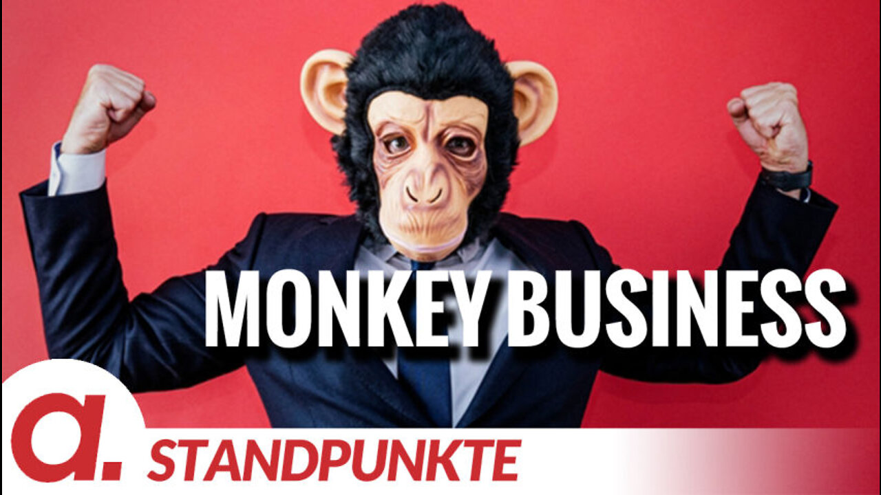 Monkey Business | Von Paul Schreyer