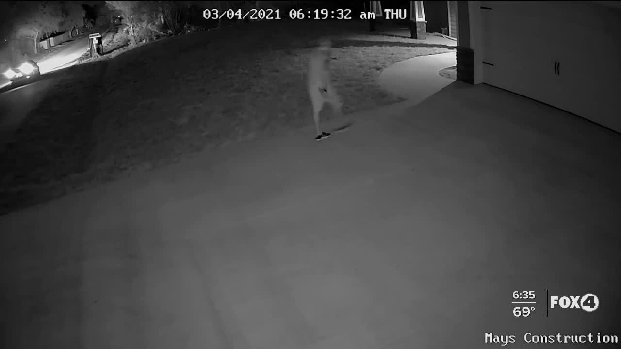 Deputies searching for man who stole equipment from a home