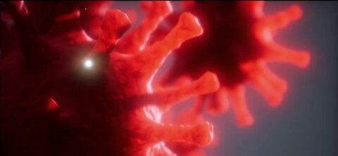 The anniversary of the first case of COVID-19