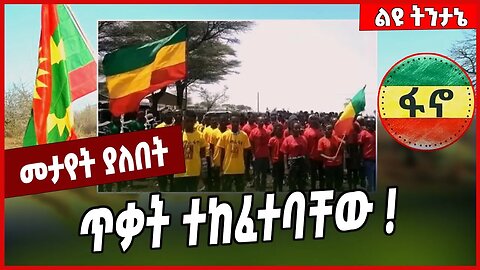 ጥቃት ተከፈተባቸው ❗️ Fano | Welega | Oneg Shene | Amhara #Ethionews#zena#Ethiopia