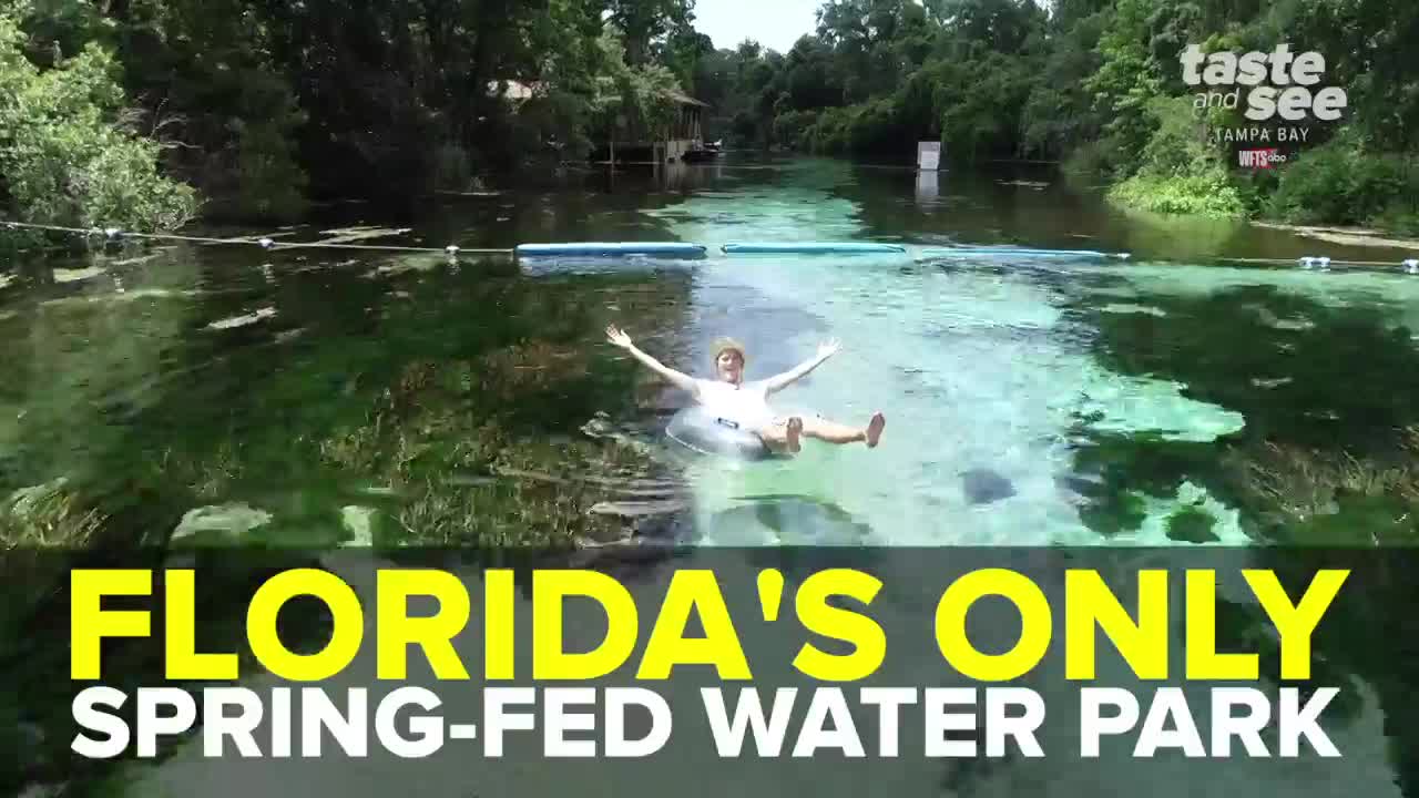 Weeki Wachee Springs is a magical state park in Florida | Taste and See Tampa Bay