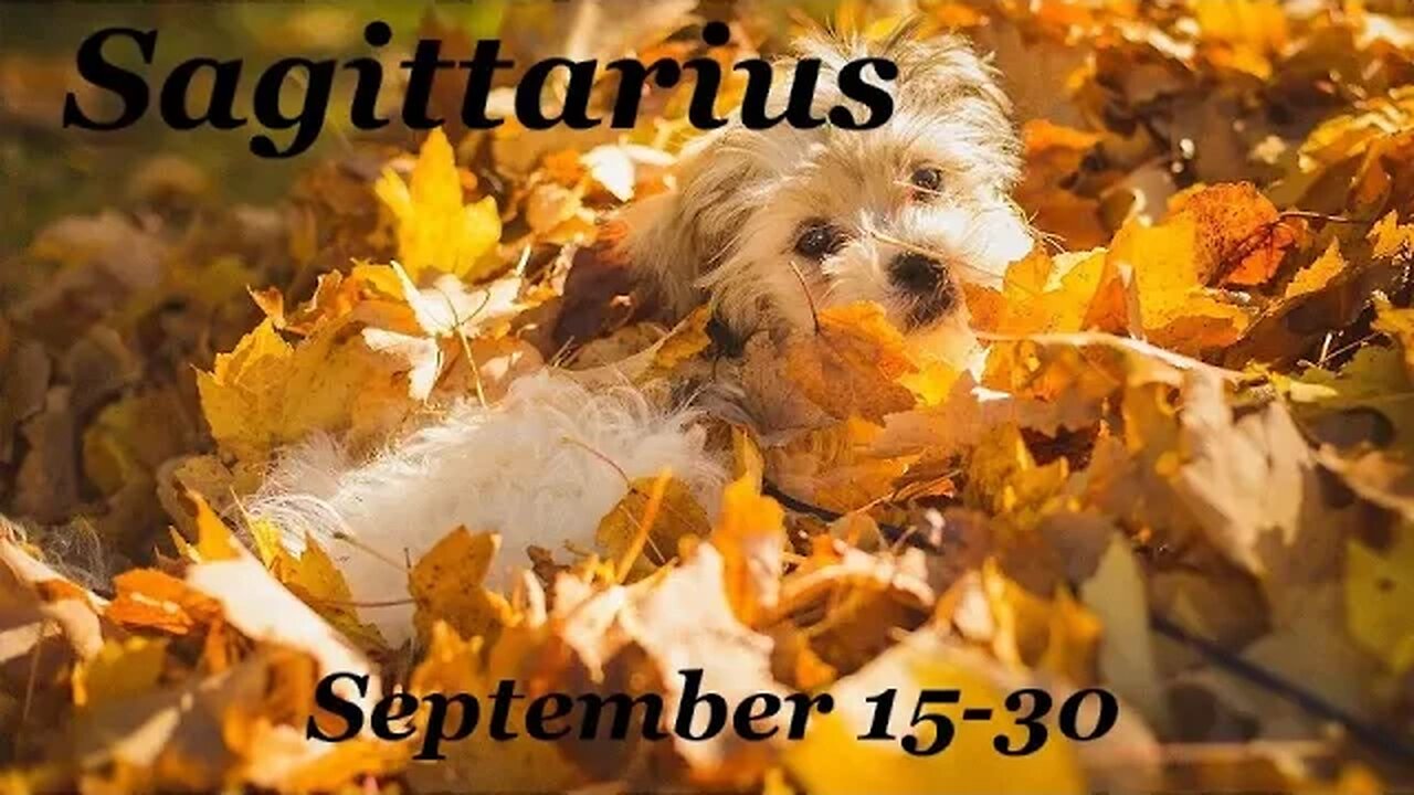 ♐ Sagittarius~You Are Heard & You Do Count! September 15-30