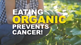 Cancer Fighting Foods | Benefits of Eating Organic