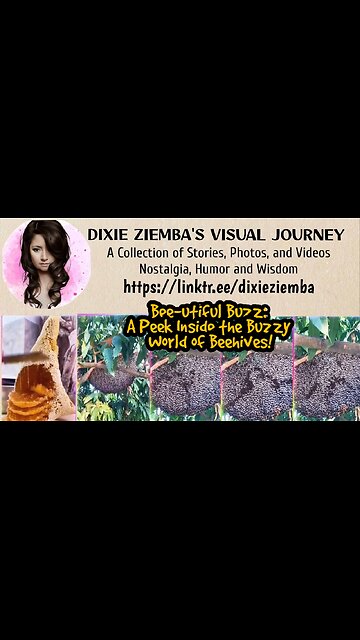 Bee-utiful Buzz: A Peek Inside the Buzzy World of Beehives!