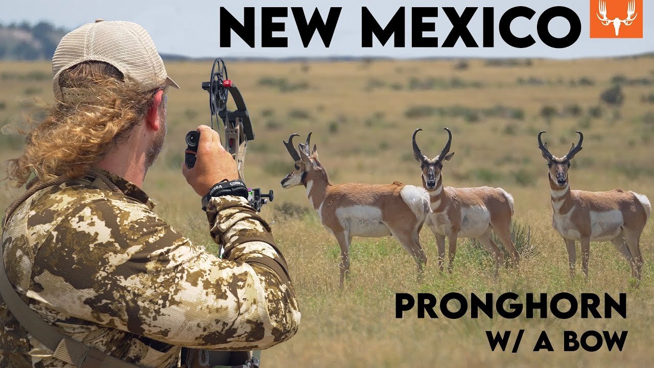 Bow Hunting New Mexico Antelope | The Element