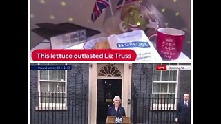 Liz Truss resigns as Prime Minister.