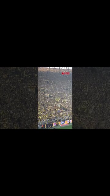 CSK Vs GT, Final, Ahmedabad | csk vs gt final whatsapp status #shorts