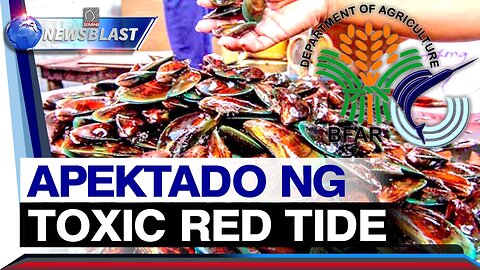 Mga coastal water na apektado ng toxic red tide, nadagdagan ng 7 —BFAR