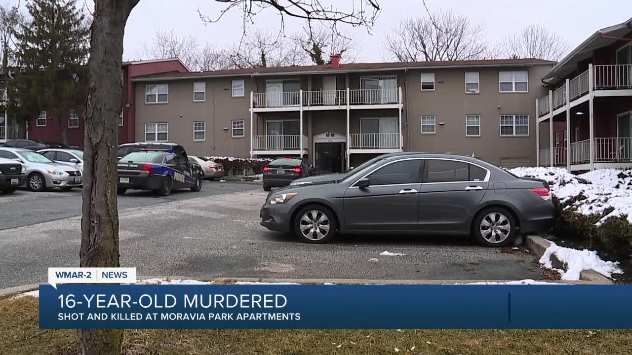 16-year-old shot and killed/New task force