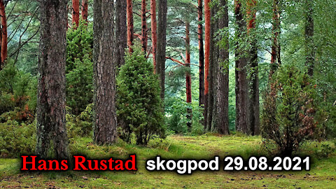 Skogpod 29. august: Ideologien erobrer hjerter og hjerner