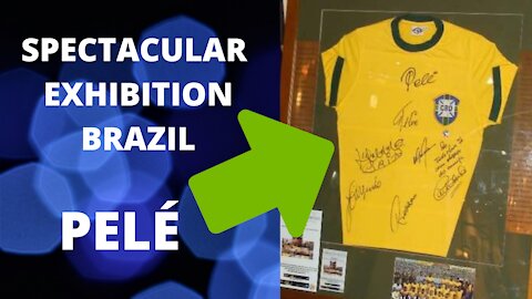 SPECTACULAR EXHIBITION BRAZIL