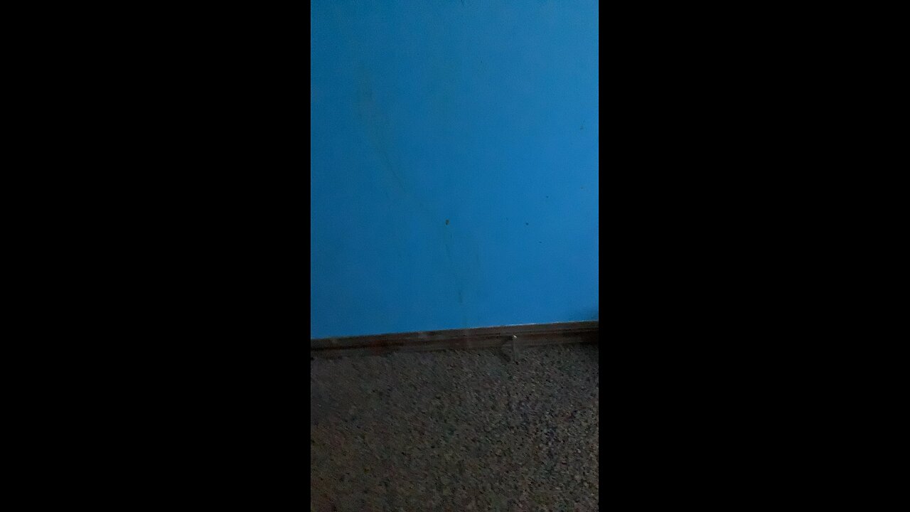 Feeling lazy