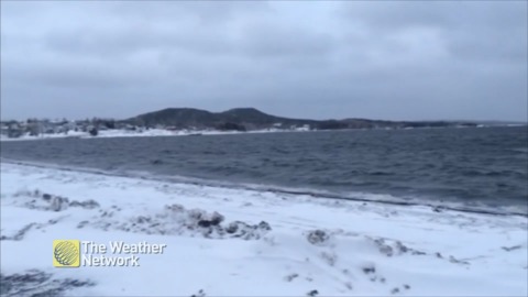 Snowy scenes on a morning walk in Birchy Bay