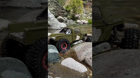 Creek crawling element ecto