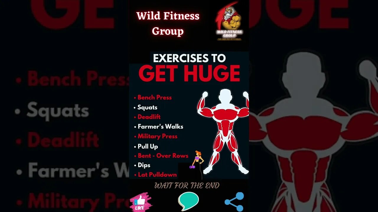🔥What are the exercises to get huge🔥#shorts🔥#wildfitnessgroup🔥2 December 2022🔥