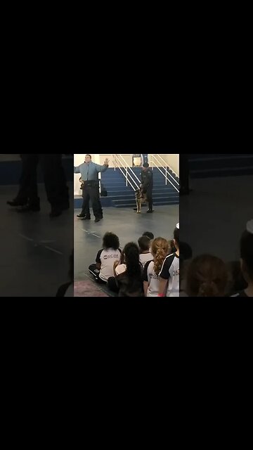 Cão Policial K9.Sccoty - Apresentação Escolar da GCM Canil Vargem Grande do Sul #k9 #cachorro