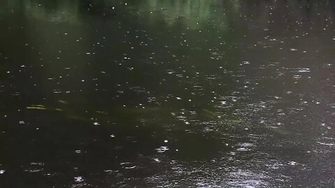 Nature River Rain Landscape 😊 Sounds to Sleep, Study, Relax, Reduce Stress, Insomnia