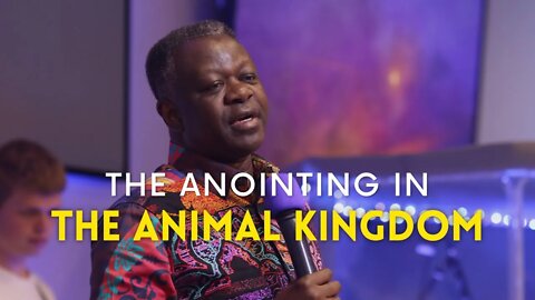 The Anointing in the Animal Kingdom | Rev Eastwood Anaba