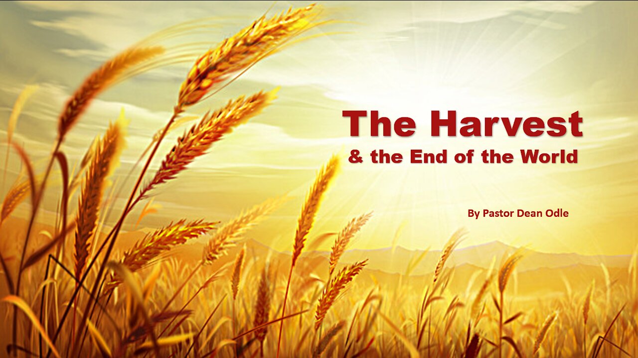 The Harvest & the End of the World